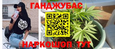 гидра Свободный