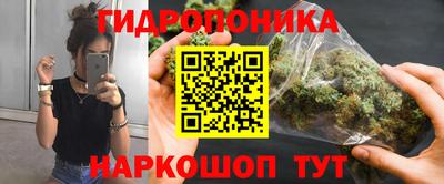 гидра Свободный