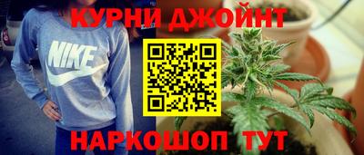 гидра Свободный