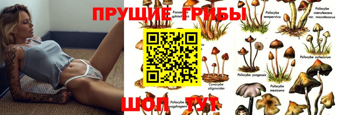 Галлюциногенные грибы Cubensis Псков