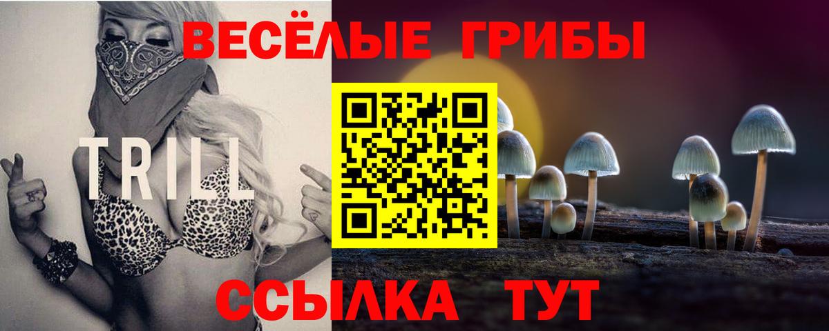 Галлюциногенные грибы MAGIC MUSHROOMS  наркотики  Псков  Вход с VPN 