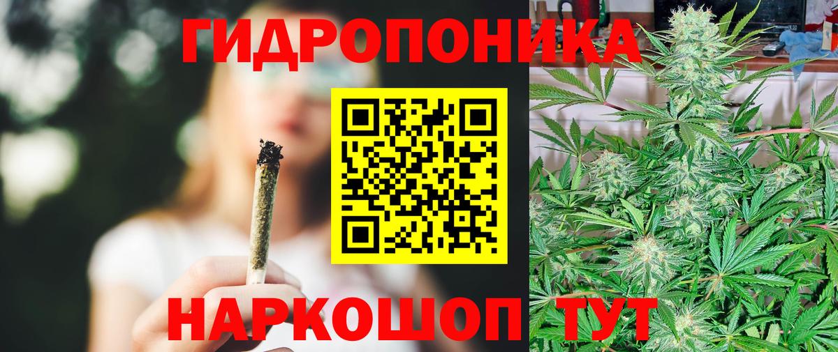 Бошки Шишки индика Псков